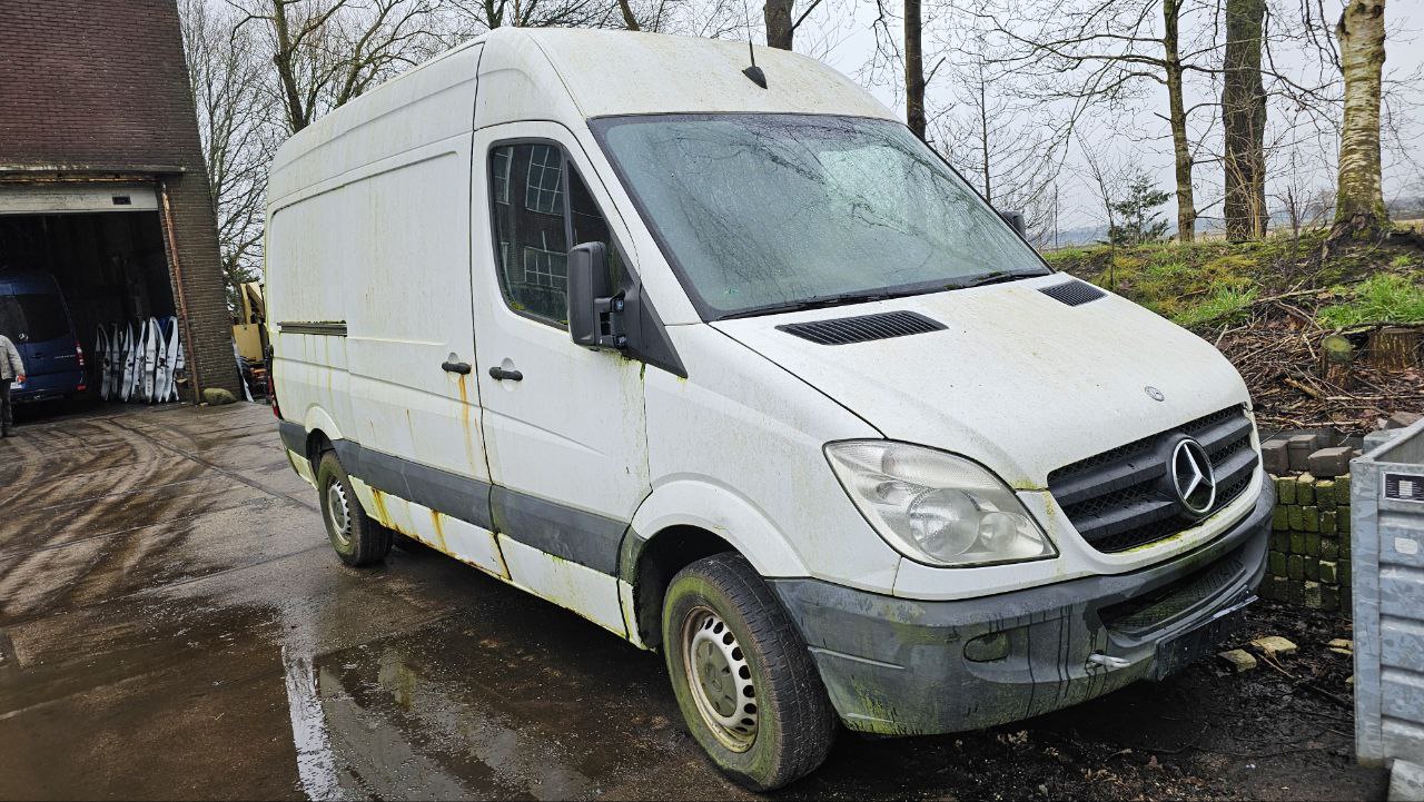 Mercedes Spriner