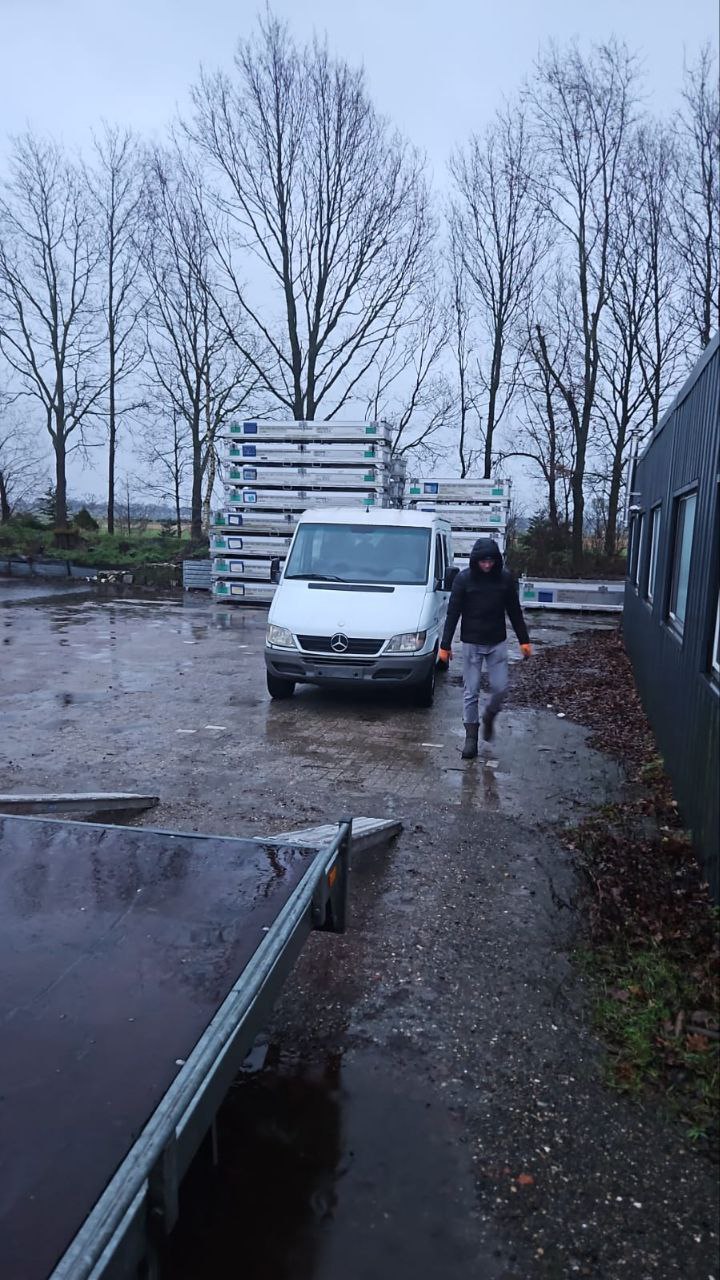 Mercedes Spriner
