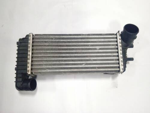 Радіатор інтеркулера 1.5, 1.6 Ford BV619L440CK Форд-2